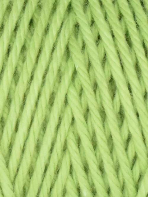 Queensland Collection Coastal Cotton