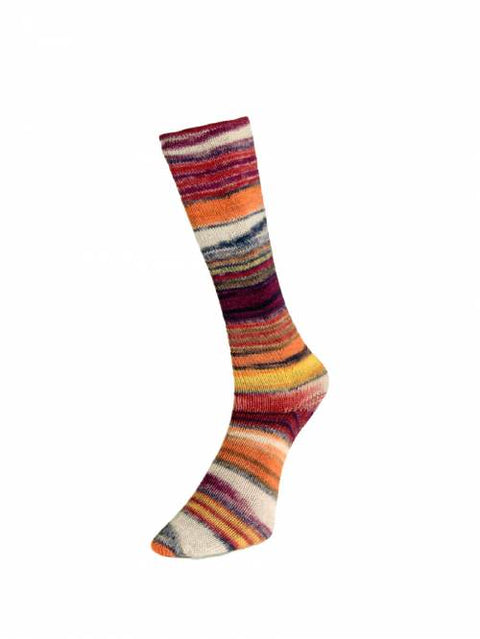 Laines du Nord Eclectic Sock Yarn