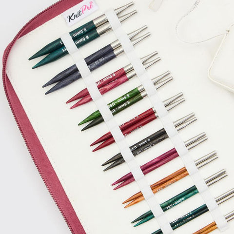 KnitPro Dreamz Regal 4" Interchangeable Knitting Needle Set