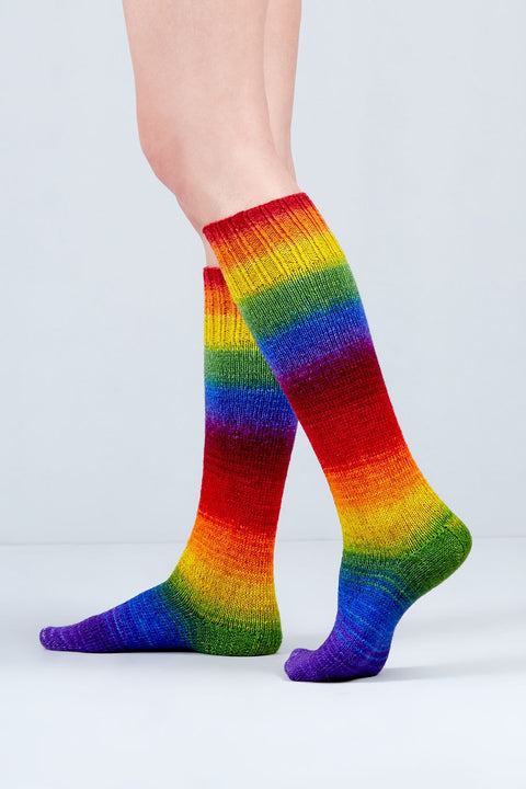 Urth Uneek Sock Kit