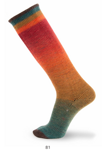 Concept by Katia Symmetric Socks & More Degrade