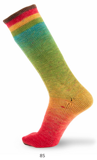 Concept by Katia Symmetric Socks & More Degrade