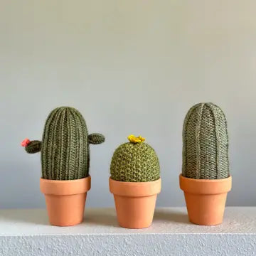 Cactus Knitting Kits