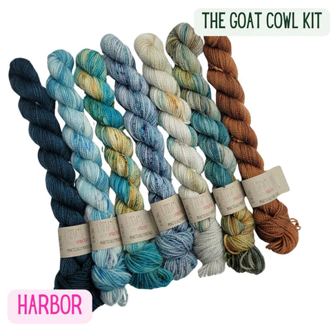 Emma’s Yarn GOAT Cowl Kit in Practically Perfect Smalls