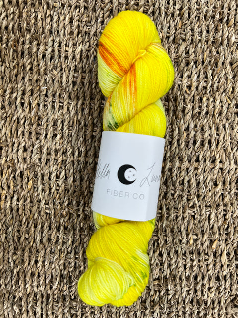 2025 Great Tennessee Yarn Tour CYC x Stella Luna Yarn
