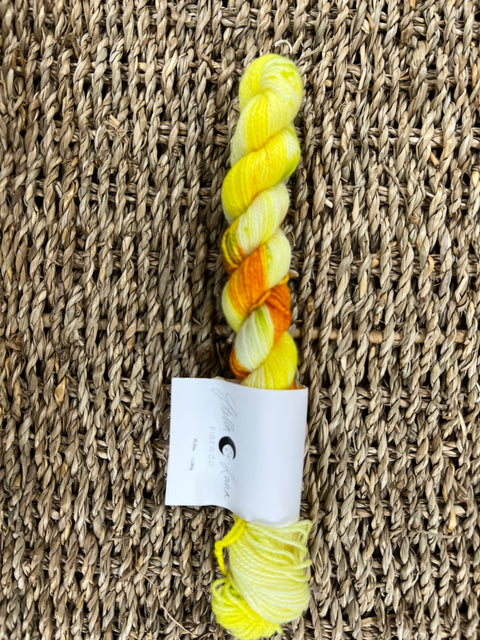 2025 Great Tennessee Yarn Tour CYC x Stella Luna Yarn