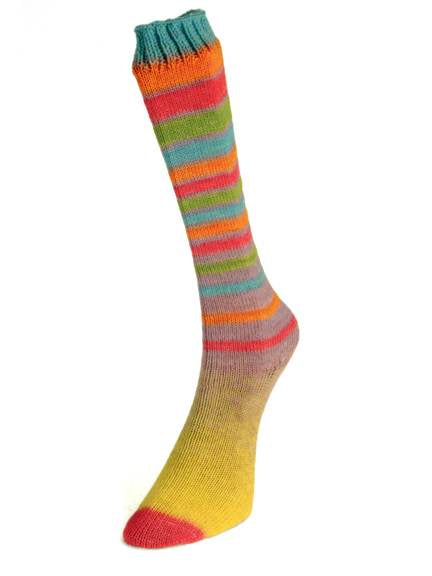 Laines du Nord Infinity Sock