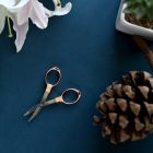 Folding Scissors 11286